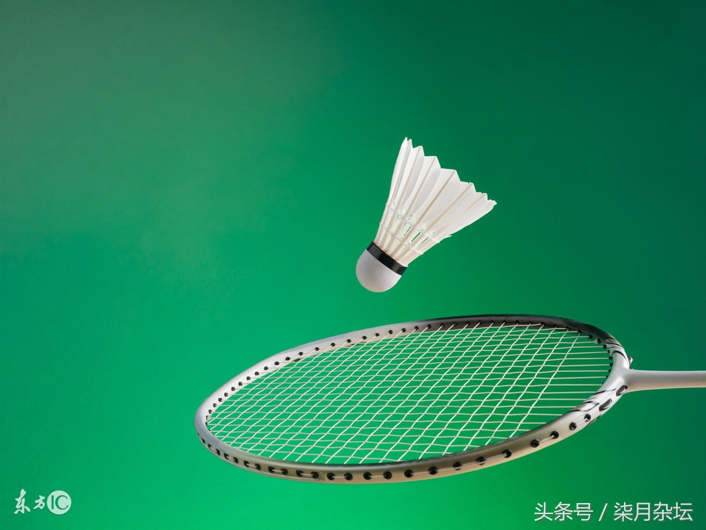 羽毛球课堂：世上最全羽毛球运动教程！