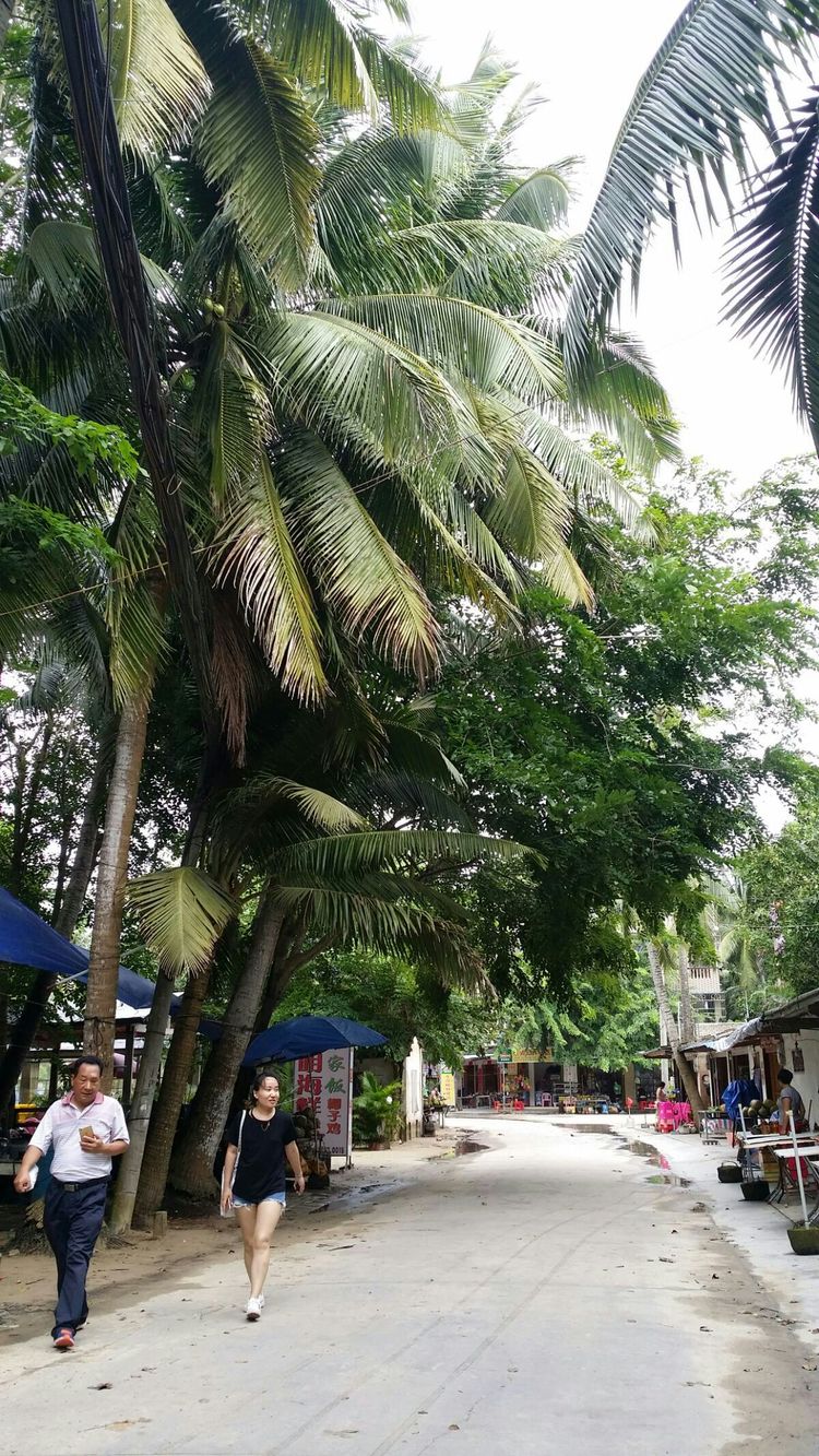 生日礼物女儿6-10岁,海南旅游送长辈礼物