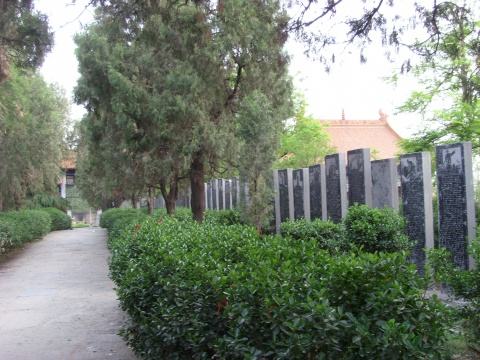 《杂丛觅珍》牧*战野**场的前沿阵地——河南获嘉县