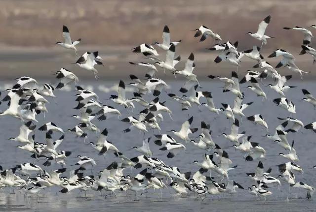 元旦最适合去的地方是哪里,元旦去哪儿最好玩