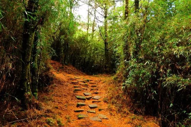 却顾所来径苍苍横翠微什么意思,却顾所来径苍苍横翠微翻译