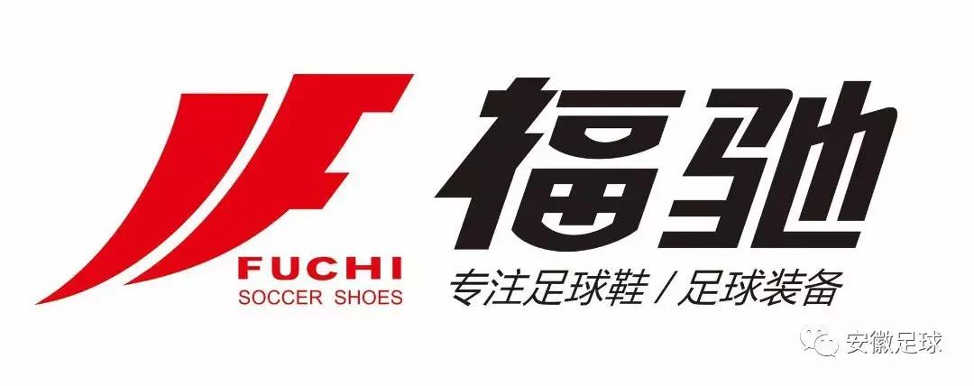 安徽崛起势不可挡,安徽崛起简介