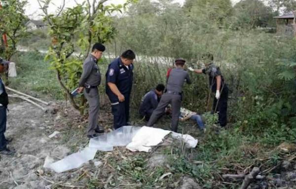 泰国导游被大象踩死,导游在泰国被大象踩死