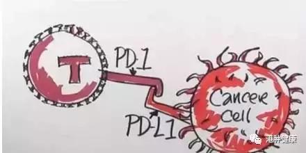 肺癌靶向治疗好还是射频消融好,肺癌靶向治疗与免疫治疗哪个更好