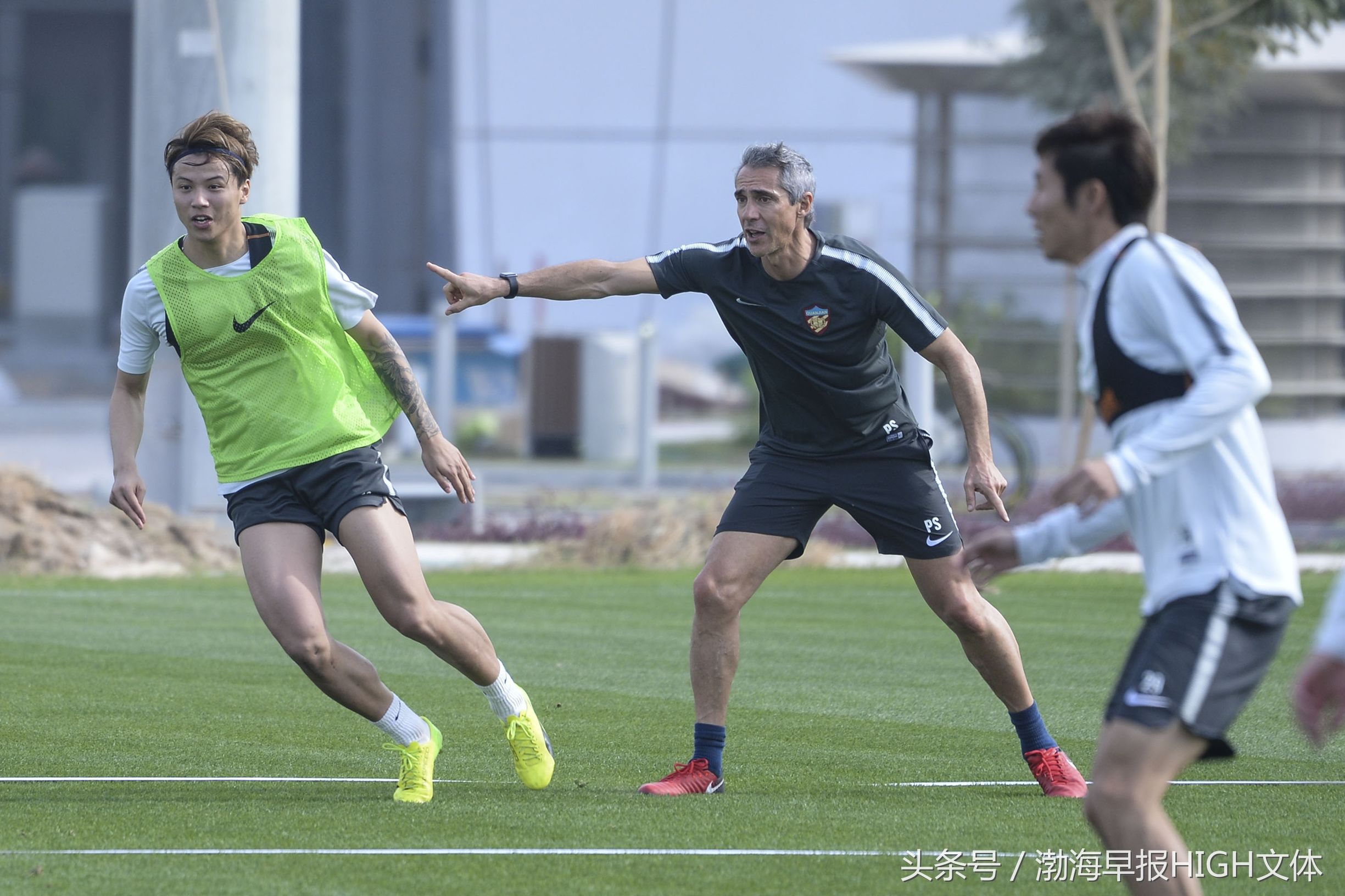 权健新后卫,权健主力