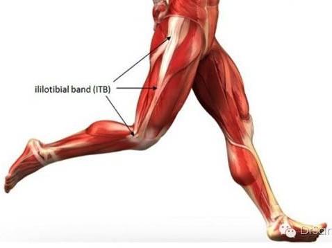 跑步有没有什么伤害,跑步如何减少身体的损伤