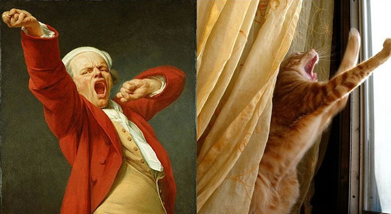 辟谣！平胸的妹子们听我说：别看你胸小，你智商可能还低！哈哈哈