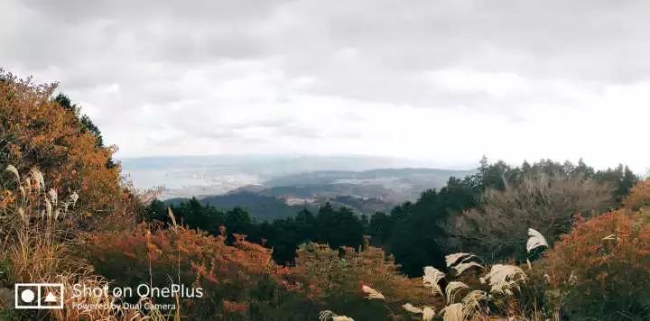 干货可以做不,干货主播好不好干