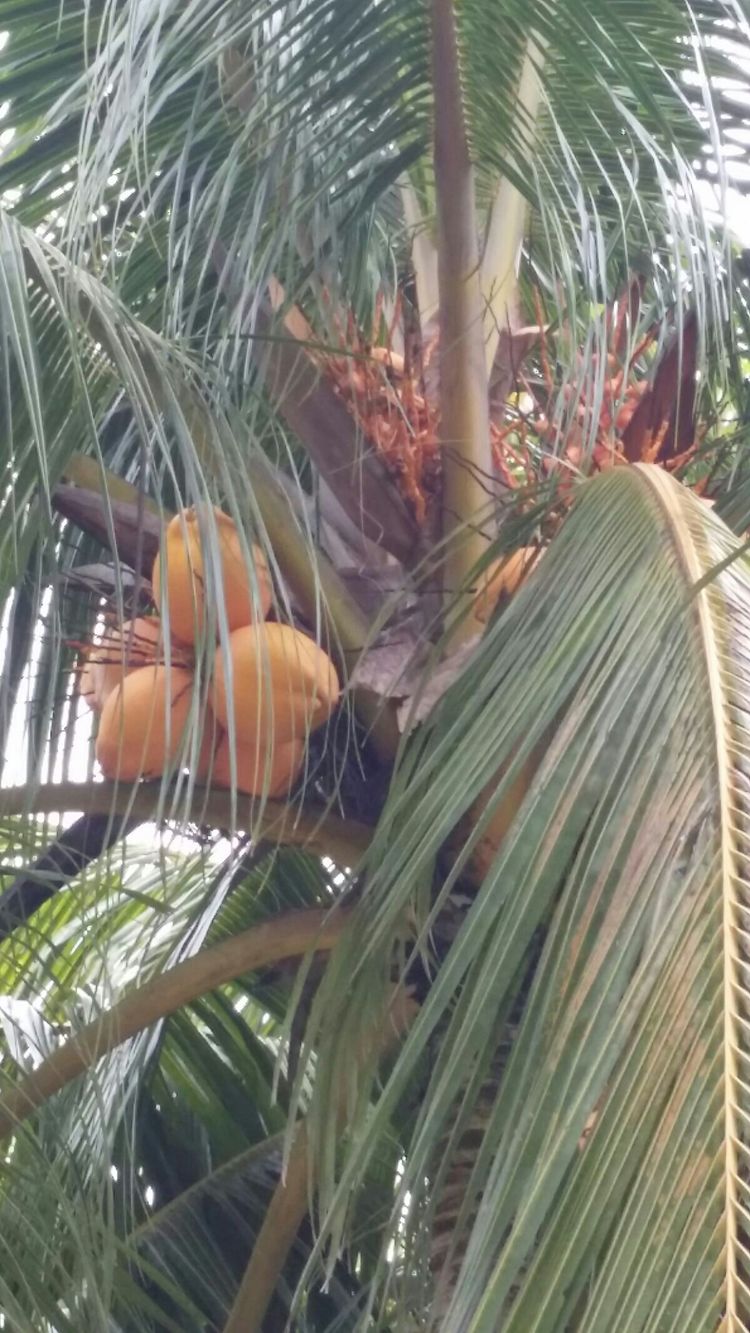 生日礼物女儿6-10岁,海南旅游送长辈礼物