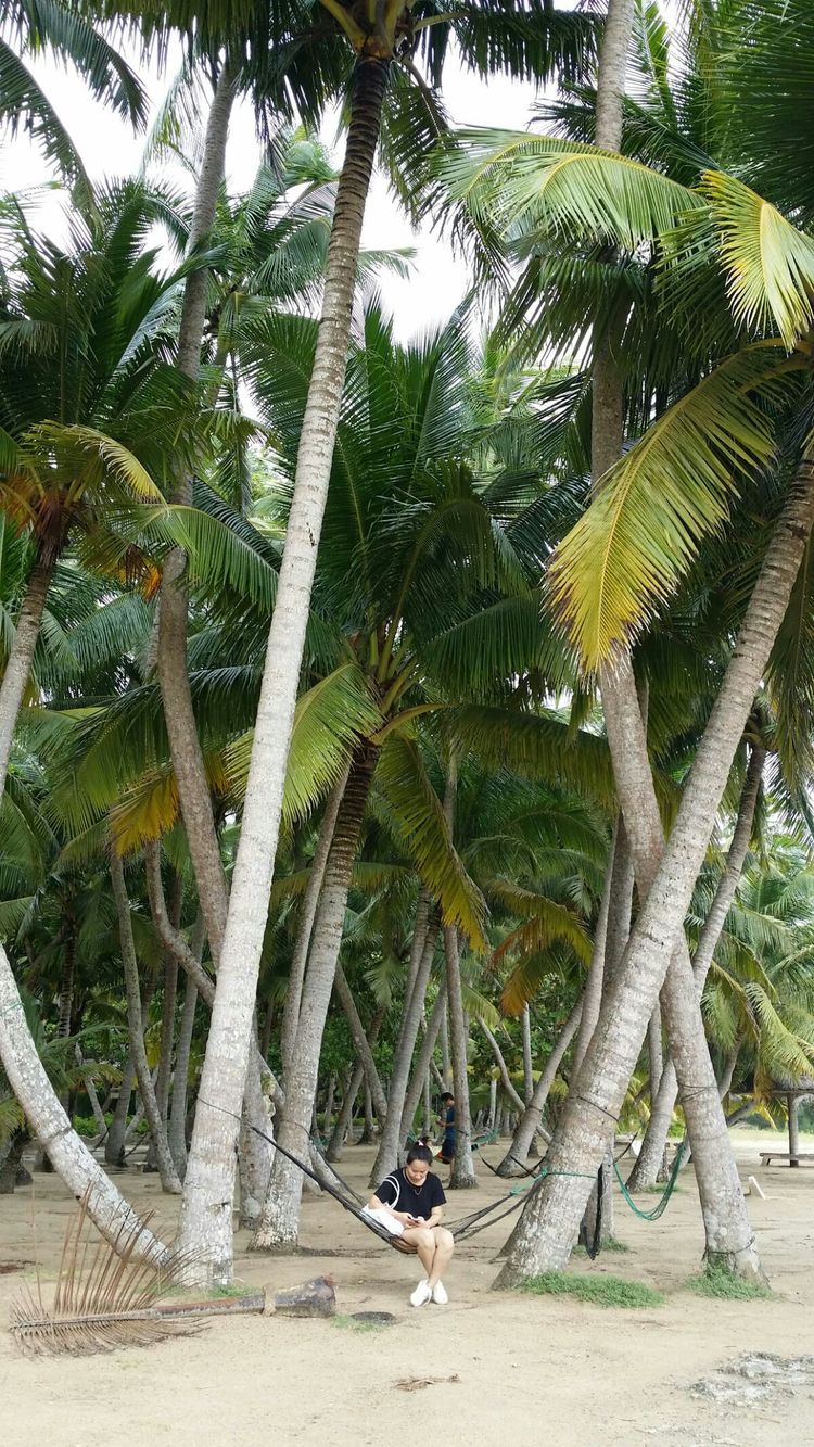 生日礼物女儿6-10岁,海南旅游送长辈礼物