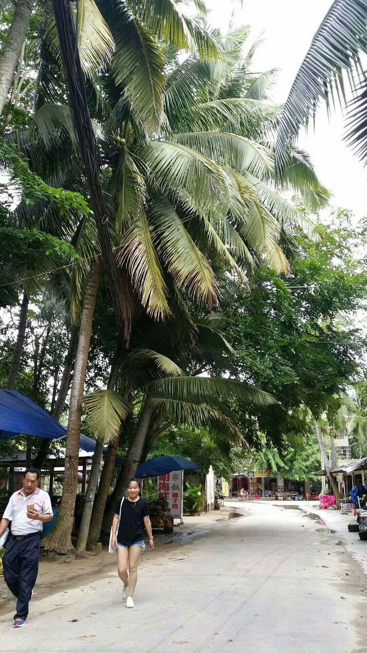 生日礼物女儿6-10岁,海南旅游送长辈礼物