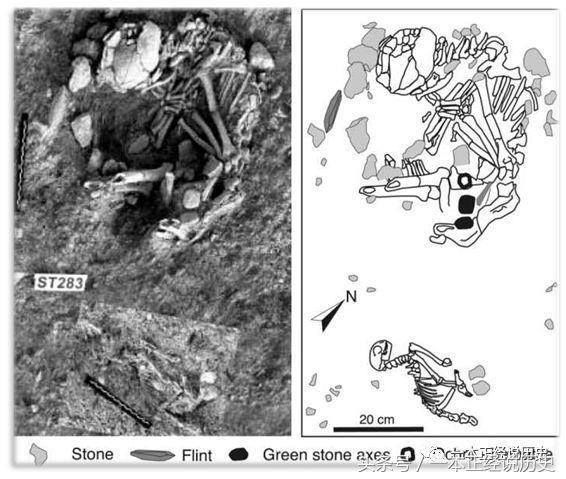 妖猫传猫到底是什么,妖猫传的猫哪来的