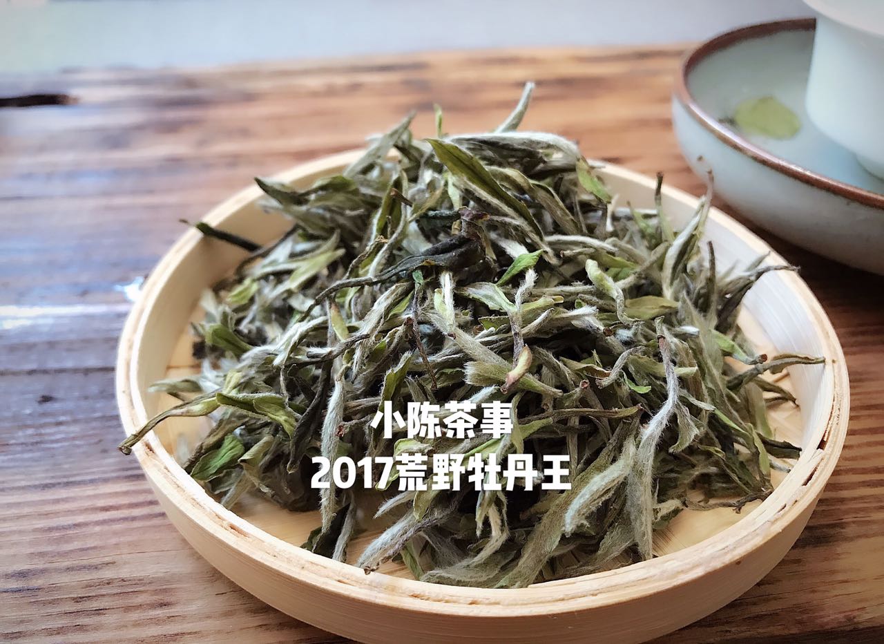 白毫银针的选购技巧,福鼎白茶白毫银针牡丹寿眉的区别