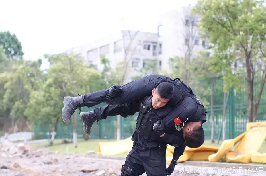 我骄傲我是南航人,我骄傲我是一棵树原文