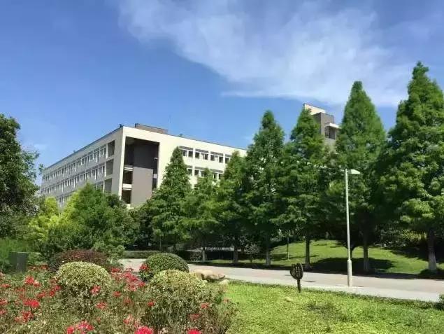 我骄傲我是南航人,我骄傲我是一棵树原文