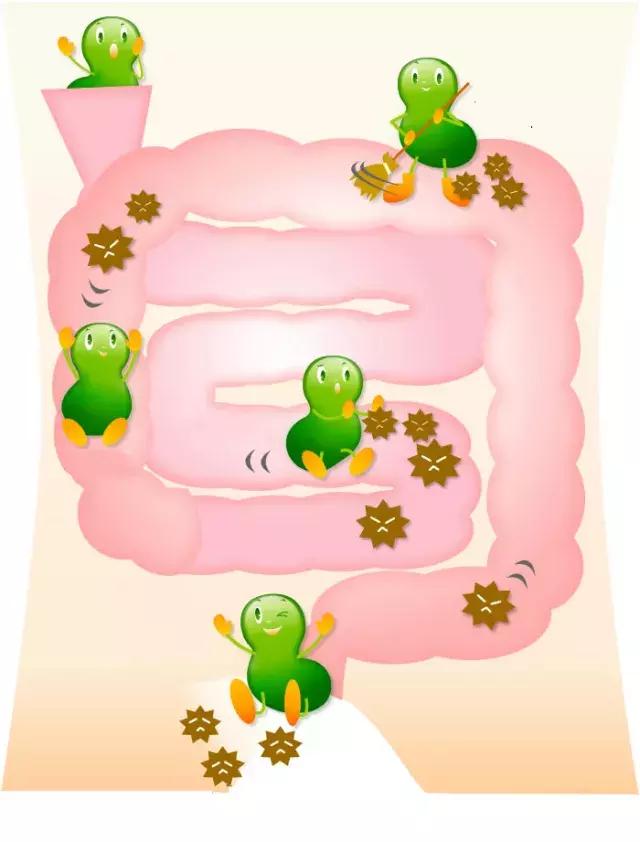 喝天然乳酸菌配方奶粉的功效作用,乳酸菌配方的奶粉