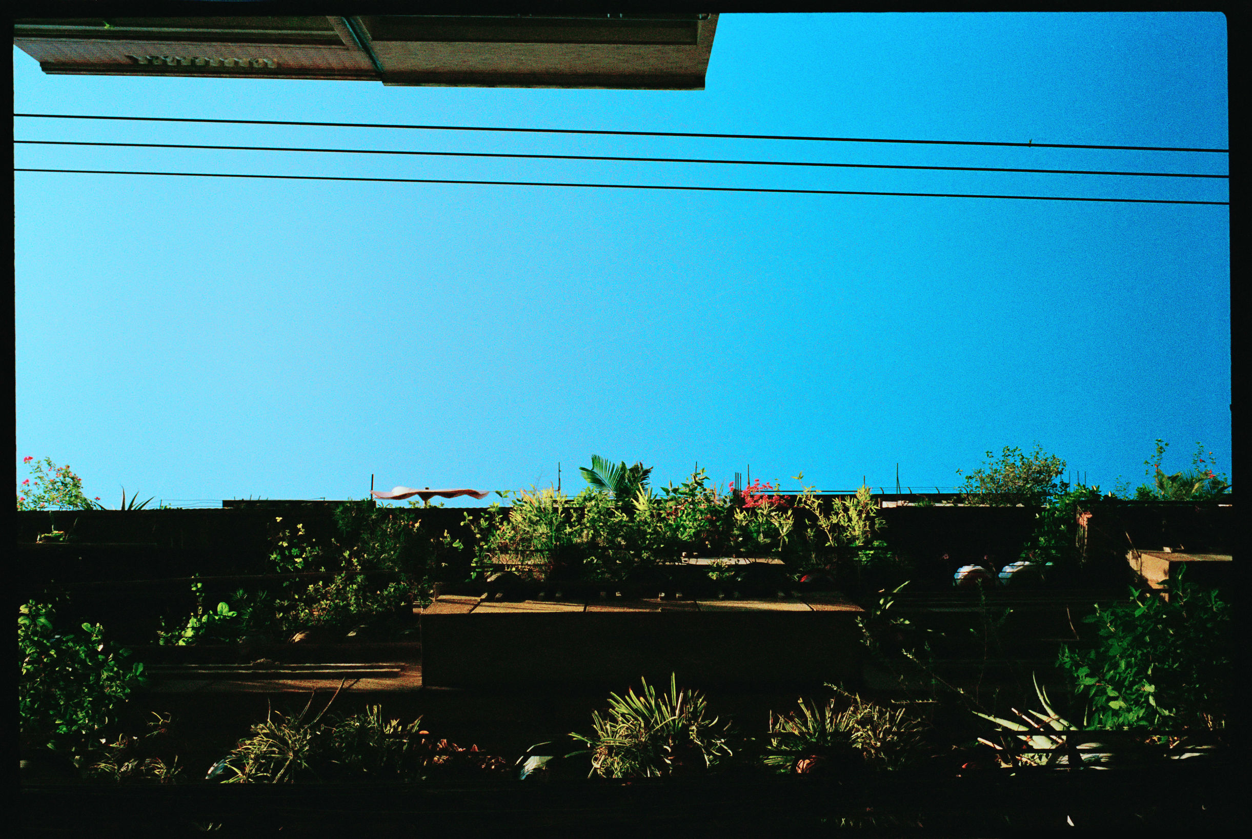 胶卷使用心得和感受,胶片相机使用心得