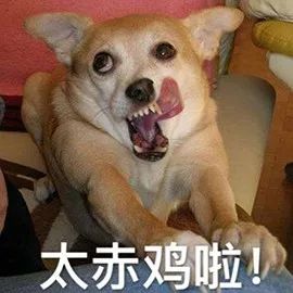 一年一度的品牌生肖“作妖”大会又来啦！