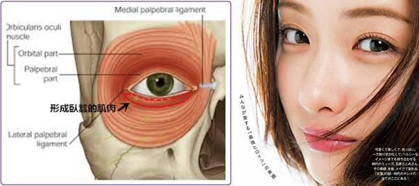 眼袋显老还是泪沟显老,40岁眼袋有泪沟怎么办