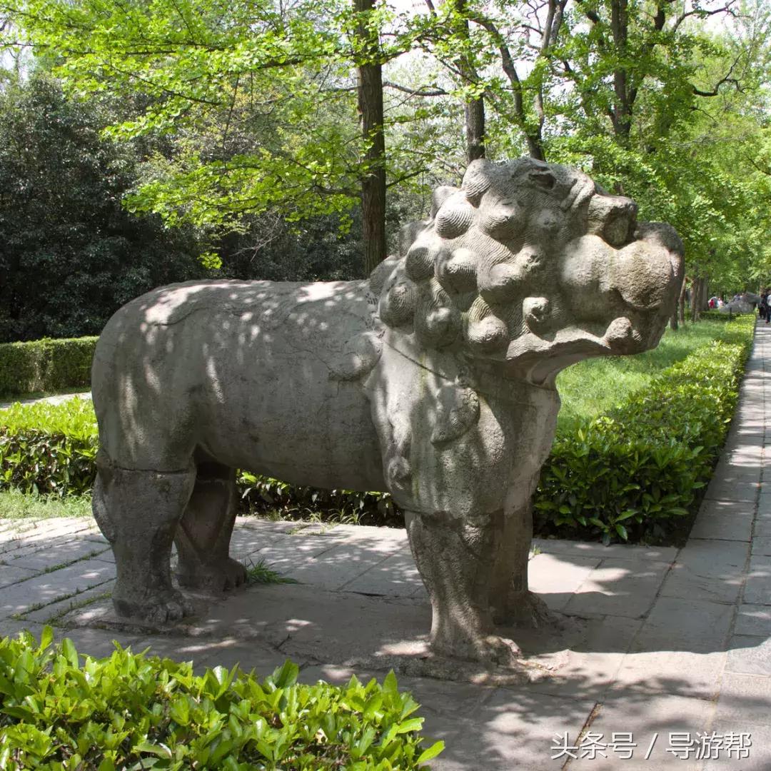 南京明孝陵600岁神道,南京明孝陵讲解视频完整版