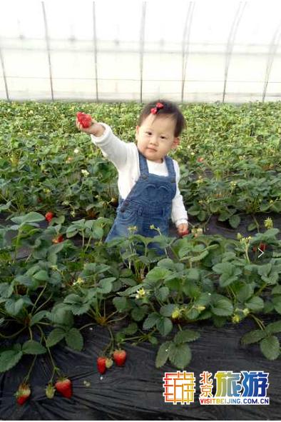 京城梨园游乐场,京城大型游乐场