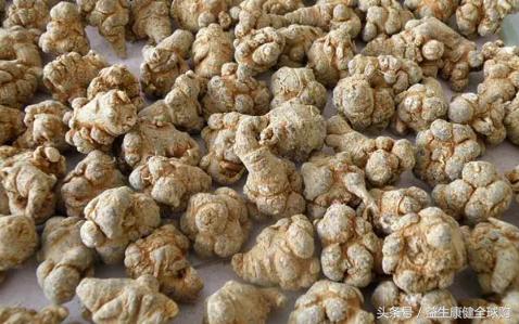 三七真的有药效功能吗,三七有禁忌吗什么人不能吃三七