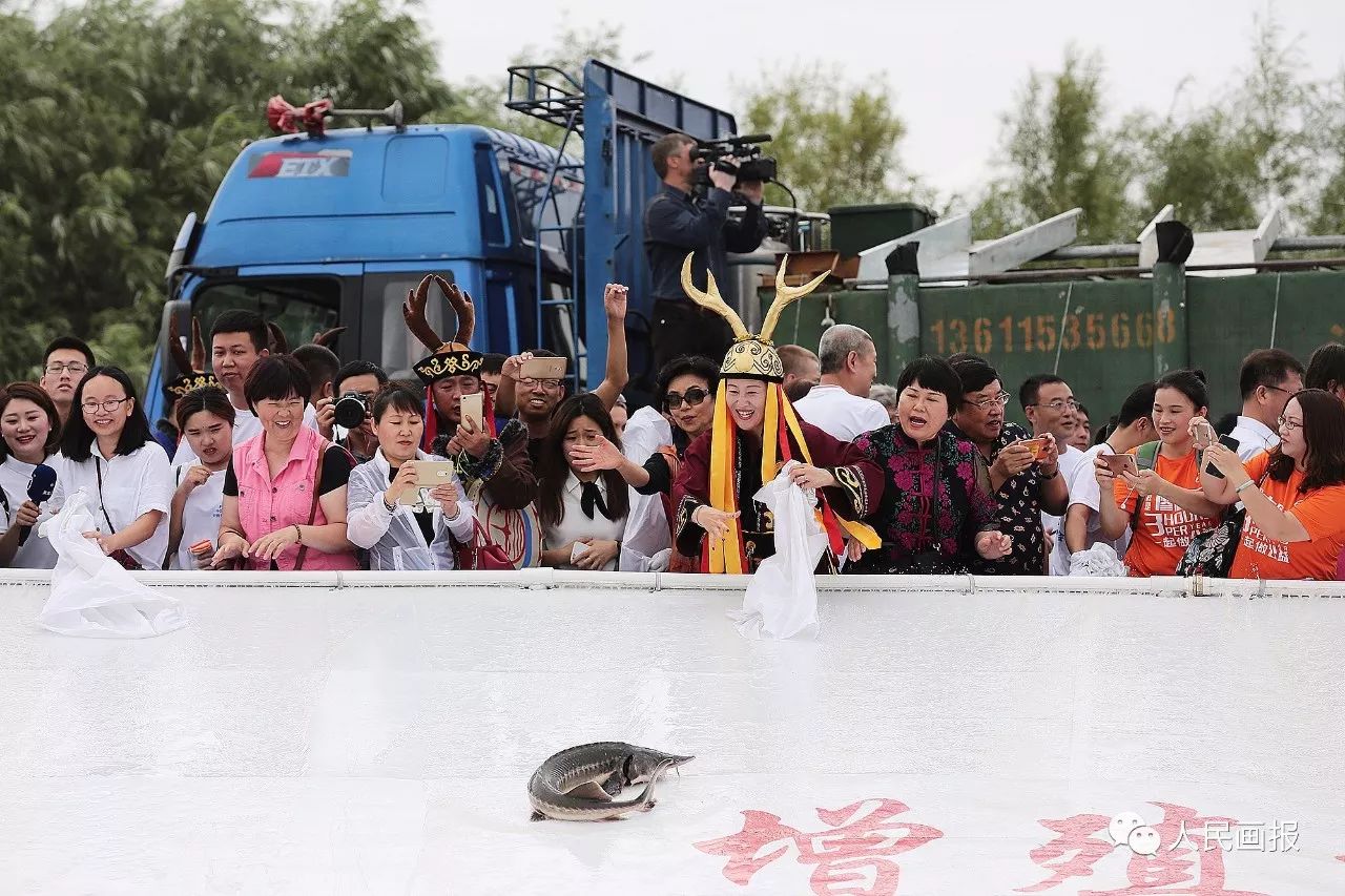 我的一周英语画报图片,我的一周英语画报