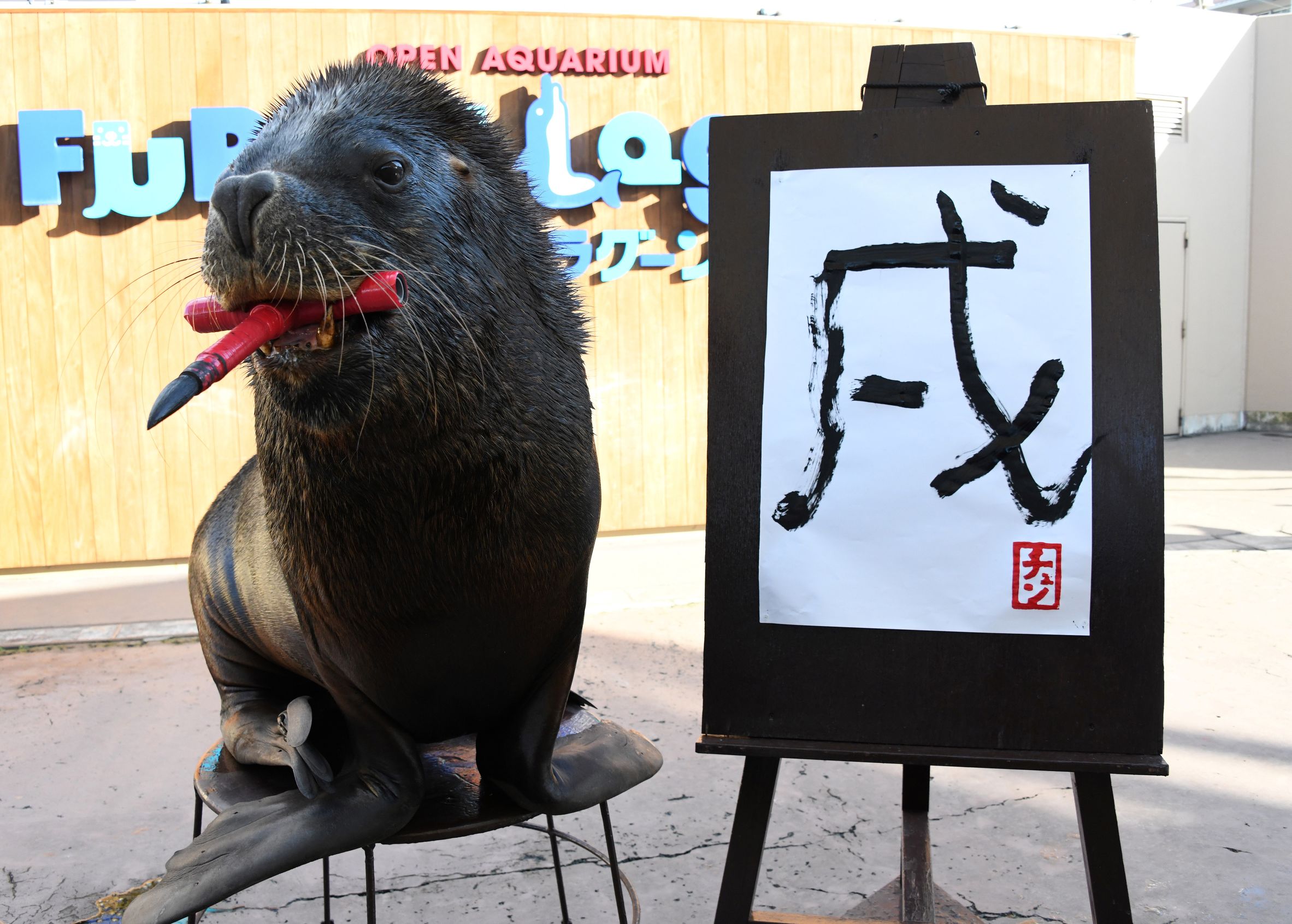 本周不容错过哪些瞬间,本周不容错过的精彩瞬间
