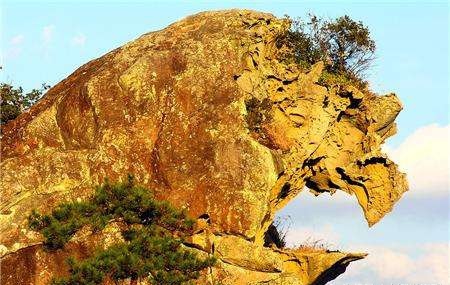 世上最小的国家只有足球场大,最小的国家有几个足球场