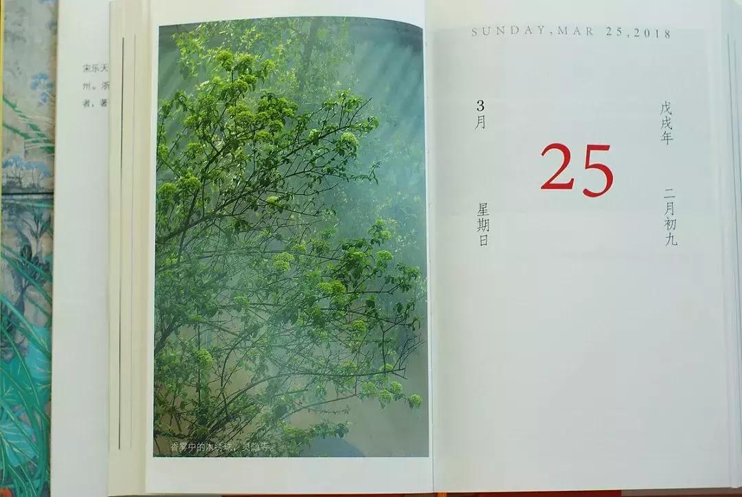 年底必看的书单,新年书单推荐排行榜