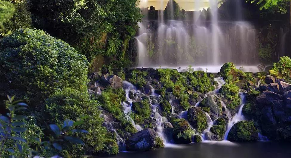 2018年住进日本の百年隐世桃源，尝尽独具特色国民料理尊享生活！