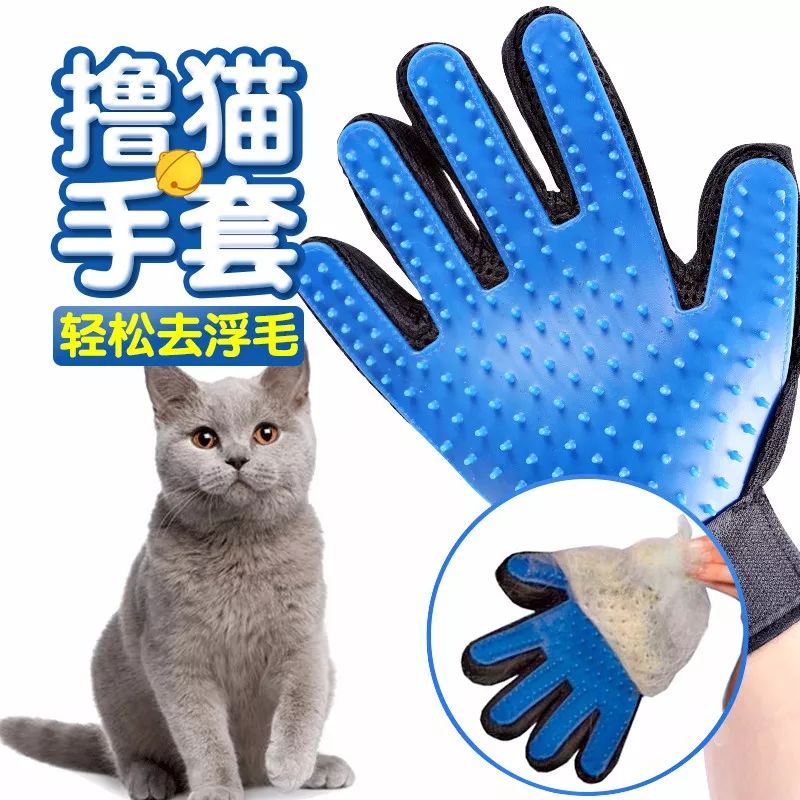 某宝某猫购物评价,某宝买猫100一只是真的吗