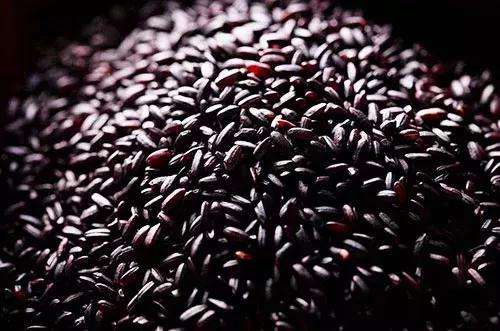 缺铁性贫血喝什么粥比较好,贫血缺铁的人吃什么粥最好