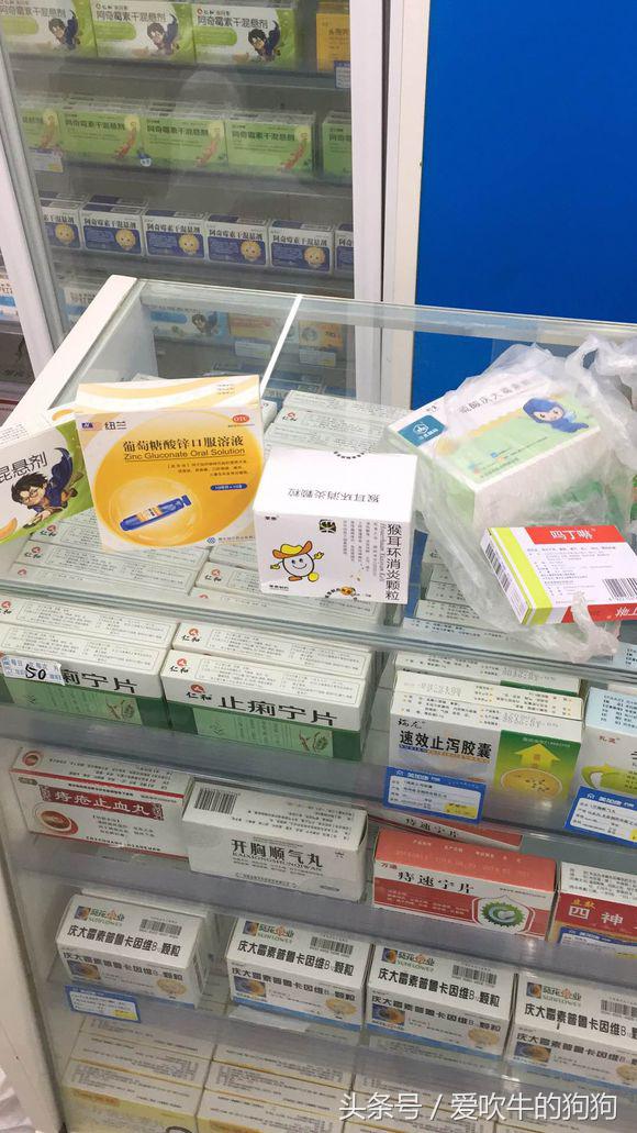 六个月金毛细小救得活吗,金毛细小好了一直不吃东西