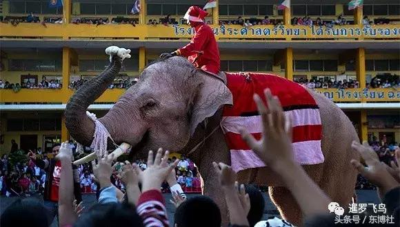 中领馆提醒中国游客关注安全,中领馆提醒中国公民关注人身安全