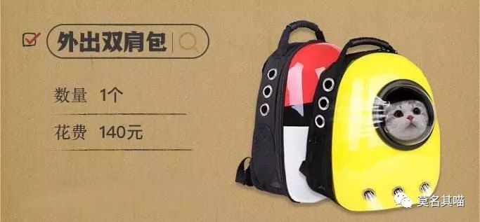 某宝某猫购物评价,某宝买猫100一只是真的吗