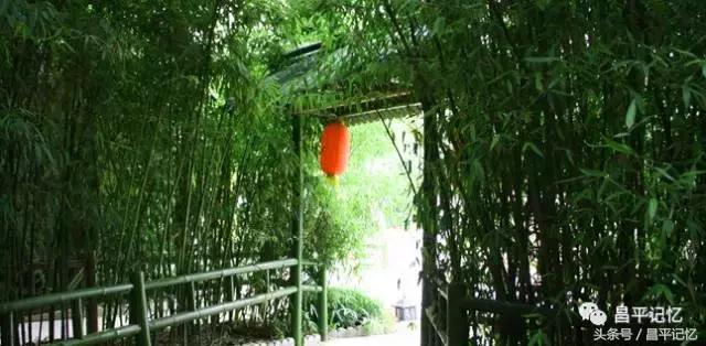 昌平小汤山热带雨林温泉必带清单,北京昌平温泉度假村温泉排名榜