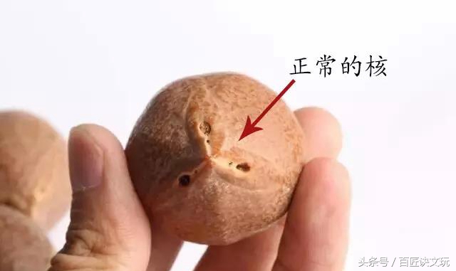 娜姐说核雕,娜姐文玩测评