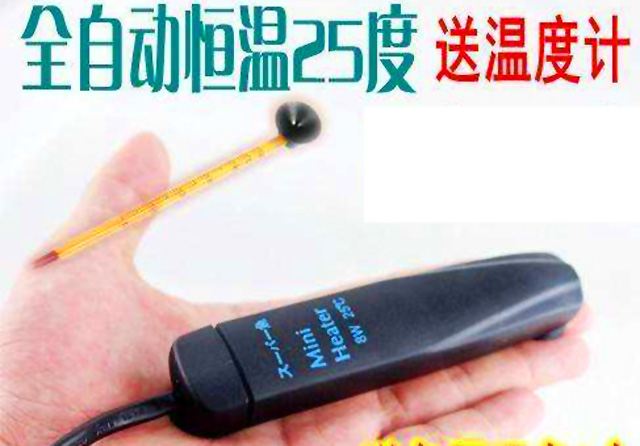 自制生态小鱼缸养热带鱼,夏天鱼缸养热带鱼要多少度