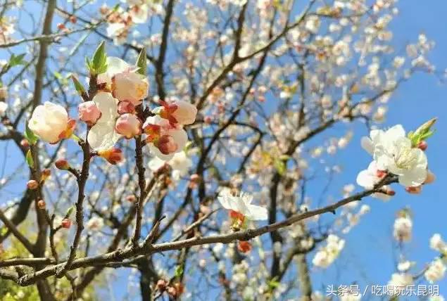 有一种骄傲叫恒大,云师大商学院