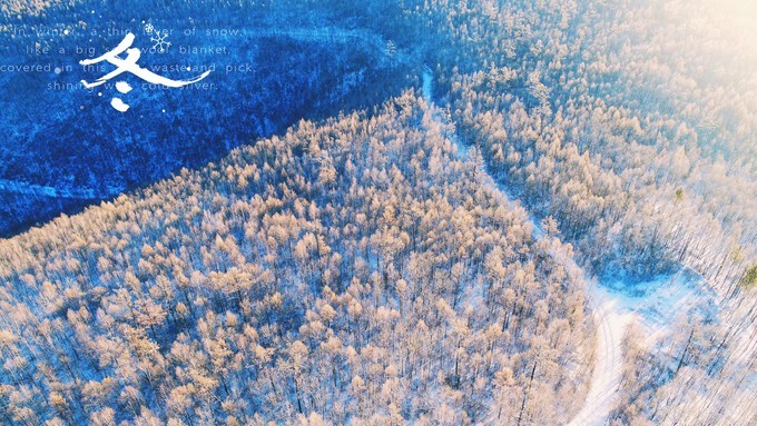 我的2017全文,国家35个主要城市名单