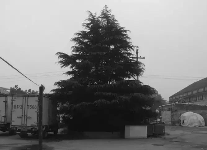 冠县附近旅游攻略路线图片,冠县地图推荐