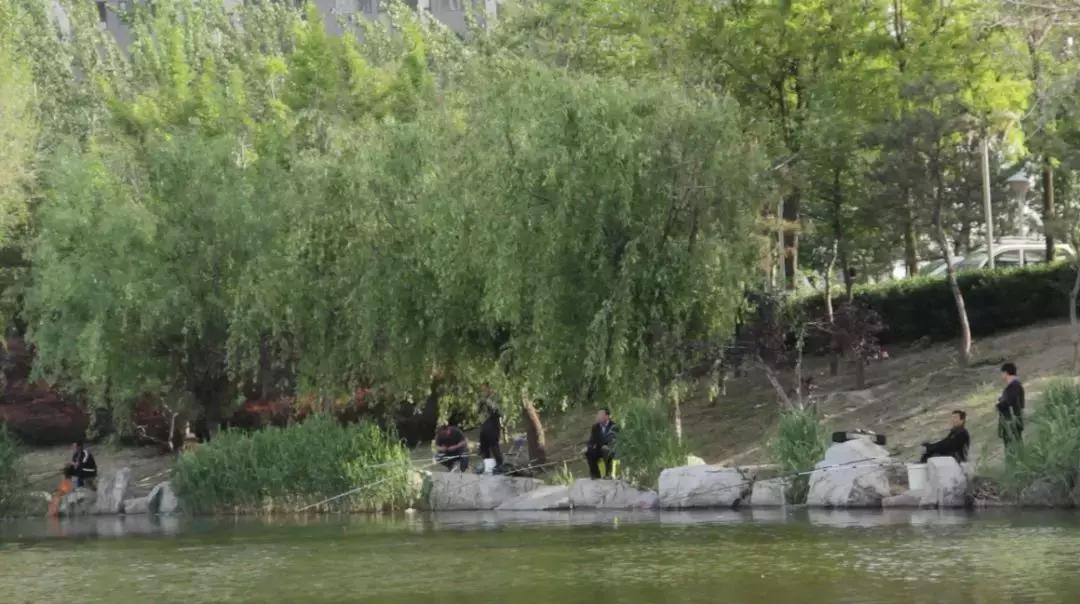 冠县附近旅游攻略路线图片,冠县地图推荐