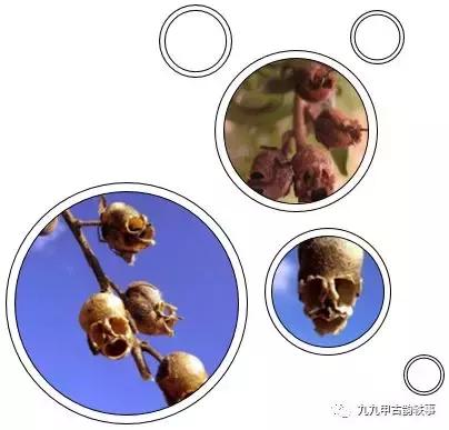 43-这是我的2017年，你的呢？