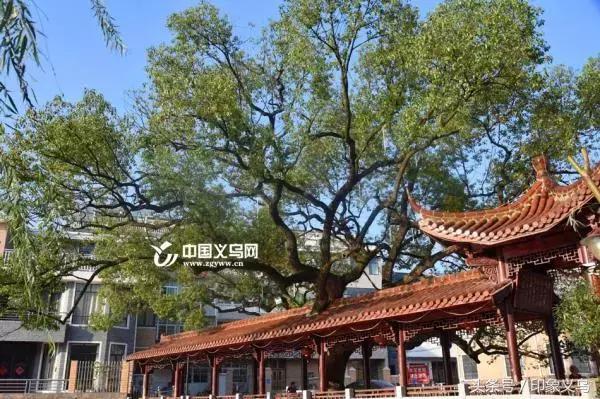 涔変箤缇庝附涔℃潙娓哥帺,涔変箤鍚勯晣缇庝附涔℃潙