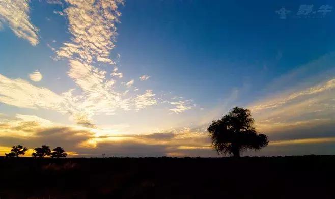 总有一个人在远方成为你的期待,每个人的内心都有一些想去的远方