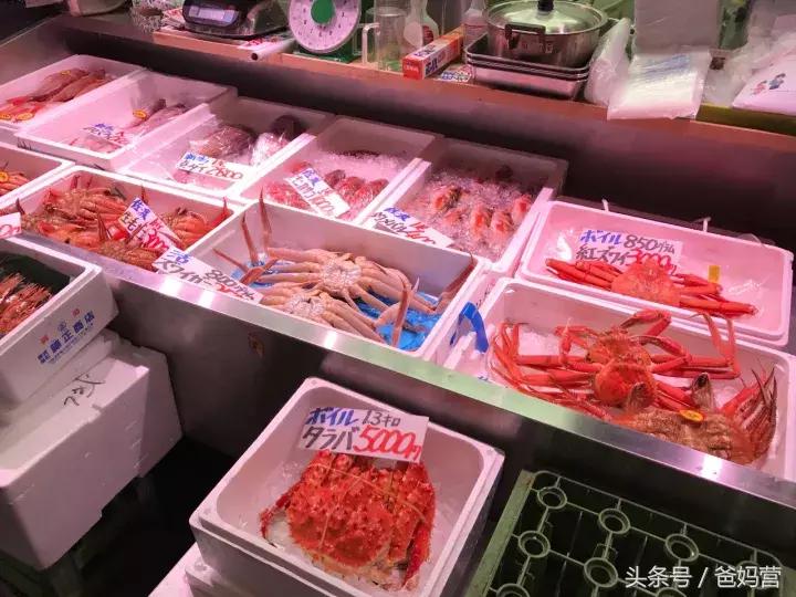 寒假日本亲子游攻略,日本亲子游最佳路线攻略