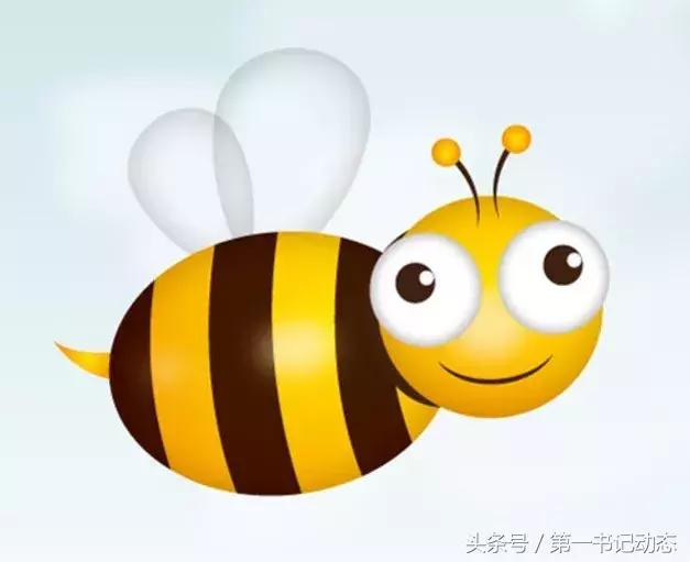 致富蜜蜂价格表,农村养殖蜜蜂一年能赚多少钱