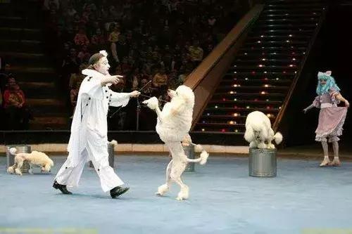 海南万宁华亚欢乐城高层最大户型,海南华亚欢乐城