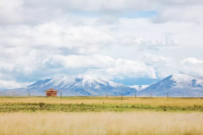 我的2017全文,国家35个主要城市名单